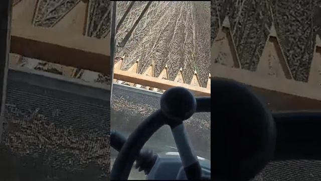 Уборка подсолнечника началась! Честный отзыв о жатке Санмастер нео из кабины комбайна смотреть онлайн