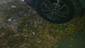 Стучит Маховик. Passat b6 дизель двигатель bmp. двухмассовый маховик