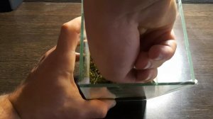 САНИТАРНЫЙ ГЕРМЕТИК В АКВАРИУМЕ. ИТОГИ ЭКСПЕРИМЕНТА