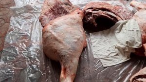 Лучший результат мясом Герефорда375кг