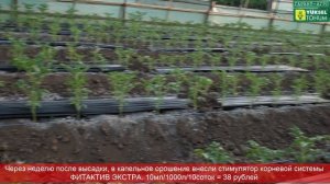 ТОМАТ. Обзор ангаров. 4 августа 2017 года. В гостях у Михаила Геннадьевича