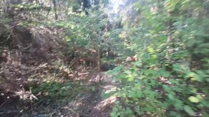 Заброшенный пионерлагерь Бережок. Ивановская область