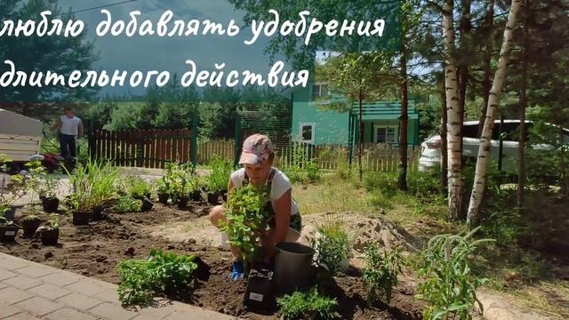 #клумба #ландшафтныйдизайн