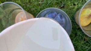 Залила фрукты эпоксидной смолой ??