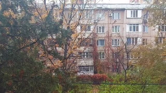 Дети и взрослые цените жизнь смотреть онлайн