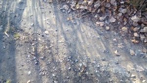 Поиск металлов металлоискателем Garrett ACE 200i за городом видео 3