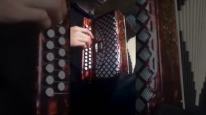 На гармони "Тёща моя гр. Сектор Газа"