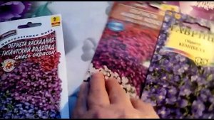 Обриета -  простые правила ухода