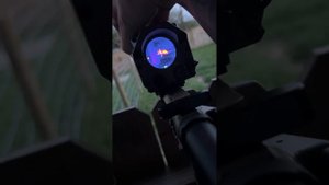 Sig Sauer echo 3 review