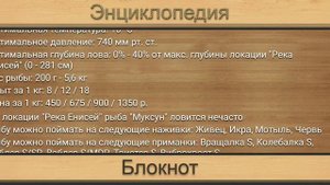 Реальная рыбалка. Река Енисей.    Кто на что ловится.