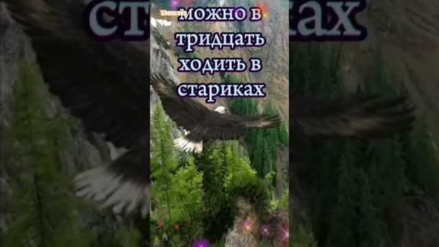 Есть пословица-старость не в радость...