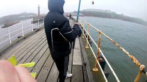 Морская Рыбалка в Славном Городе Витби на донки с Пирса