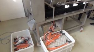 Филетировочная машина для рыбы AGK Maxi