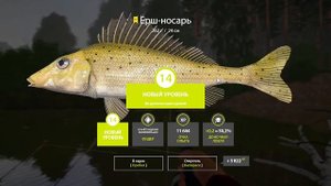 ?ТРОФЕЙ ЕРШ НОСАРЬ?♀️ РЕКА ВЬЮНОК?ТРЕТИЙ ТРОФЕЙ?РУССКАЯ РЫБАЛКА 4