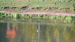 Тревожность, с которой мы не можем расстаться! Андреас (Конанос).