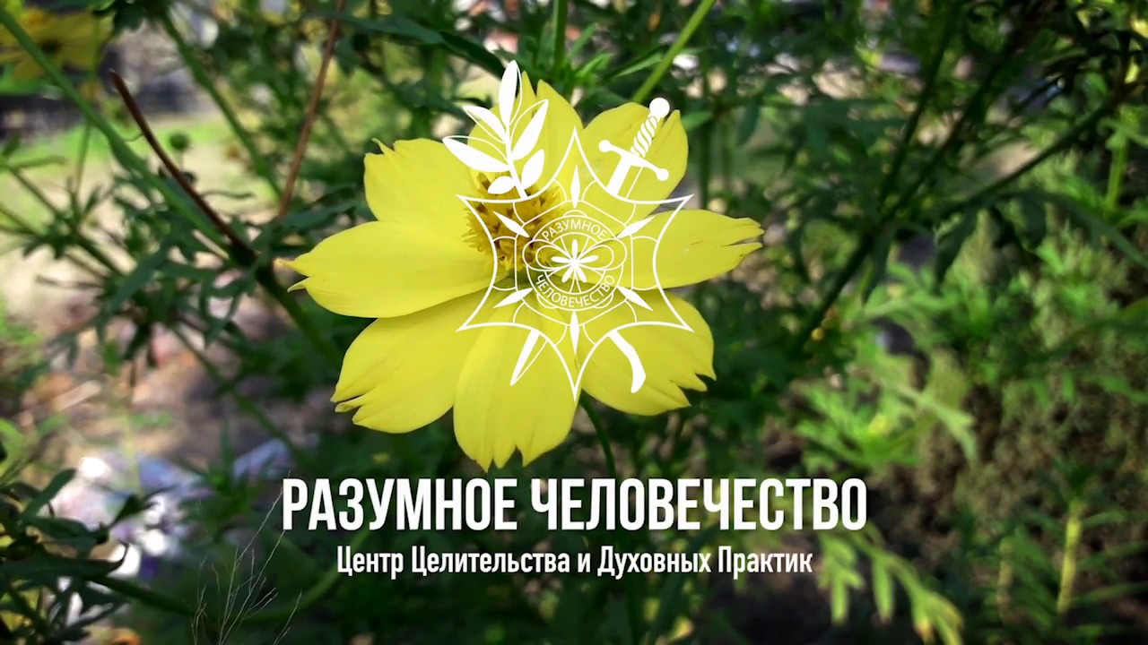 Воздержание И Общение