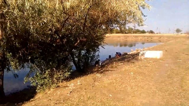 Рыбалка карп Крым смотреть онлайн