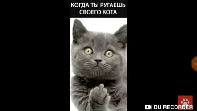 Сильная папка смотреть онлайн