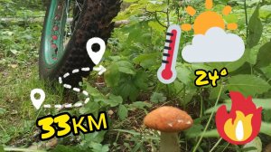 На Фэтбайке _ Хохловские берега _ Шемети _ р.Кама.