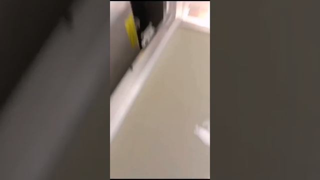 Организация эксплуатации городской Поликлиники не может определить проблему течи воды смотреть онлайн