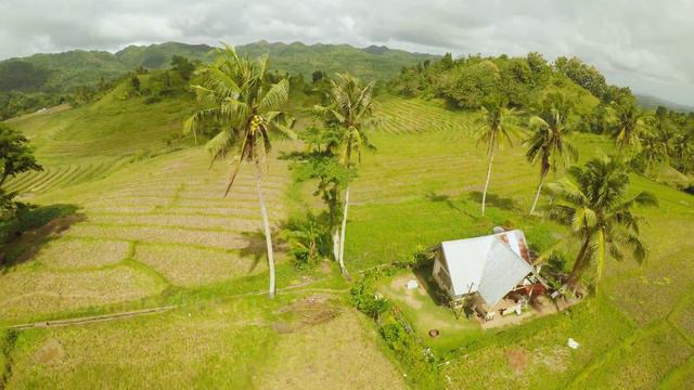 DANGEROUS FLIGHT PHANTOM 2 over PALMS. Philippines. ОПАСНЫЙ ПОЛЕТ ДРОНА над ПАЛЬМОЙ))). Филиппины.