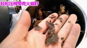 BEAUTISUN, автоматический пресс для масла из нержавеющей стали, машина для холодного масла, домашня