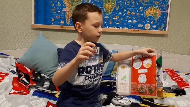 Доклад о календуле смотреть онлайн