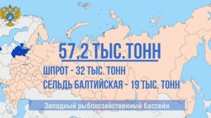 Российские рыбаки выловили более 3,7 млн тонн рыбы – на 12,4% выше уровня прошлого года