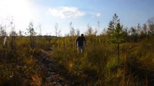 Озеро Крячек (Кряж) Барышский район Ульяновская обл.