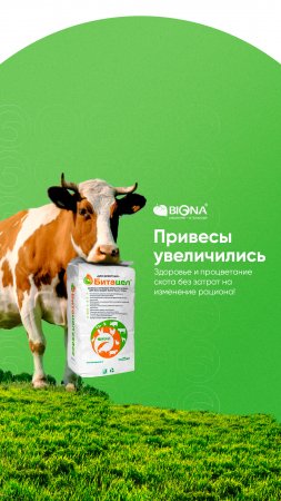 Битацел увеличивает привесы на 20%!