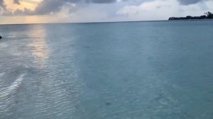 Cinnamon Velifushi Maldives | MALDIVES 2021 | 5 * Resort | Tour | Stunning Vaavu Atoll in Maldives