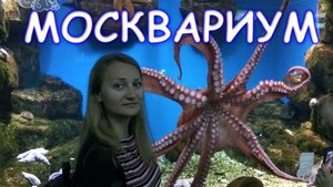 Москвариум - тайны подводного мира (ВДНХ, Москва).