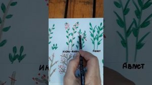 выращиваем деревья малины по методу Соболева ?