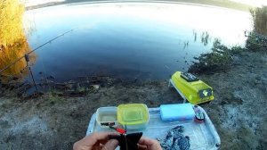 На что ловить карпа осенью? Клюет как бешеный! Вот это ПАРОВОЗЫ! Такой рыбалки у меня давно не было