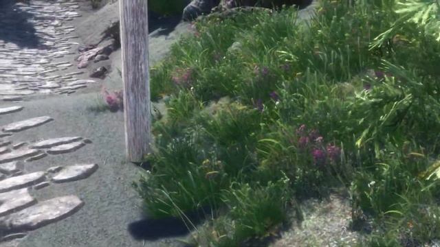 Skyrim Mod Shopwindow: Squirrels смотреть онлайн