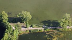Электрогорск