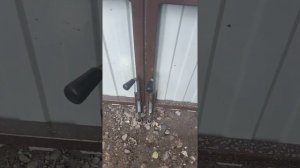 Ворота распашные с внутренней калиткой готовы