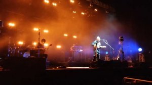 Звери-Прогулки