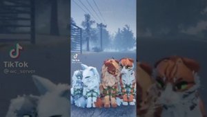 коты воители в роблокс из тик тока