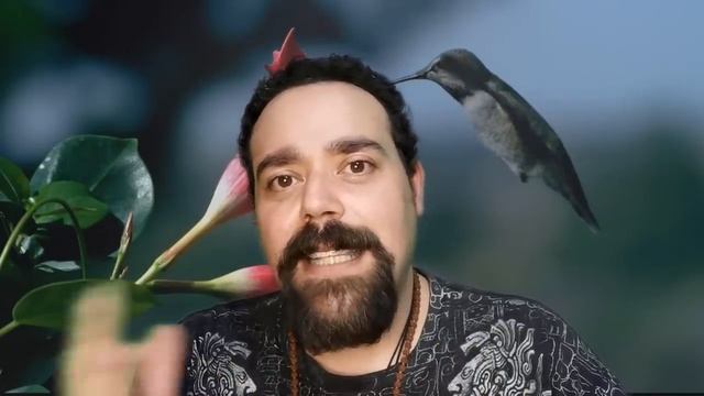 SI VES UN COLIBRÍ (PICAFLOR) ES POR ALGO IMPORTANTE - NO HAY CASUALIDADES - ANIMALES DE PODER смотреть онлайн