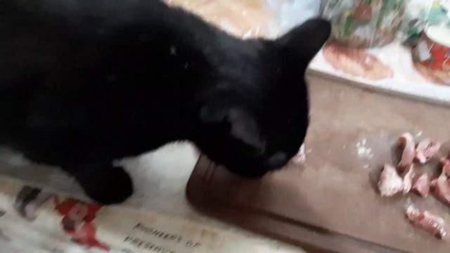 Готовим вкусняшки для ФанФана || Хаски смотреть онлайн