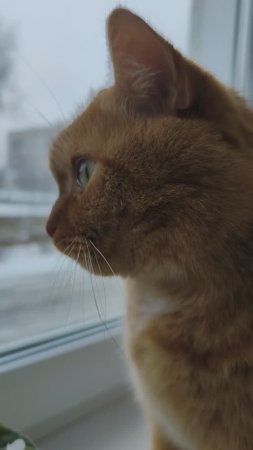 Осень похожа на весну