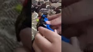 Как сделать машину из Лего с развалом колёс