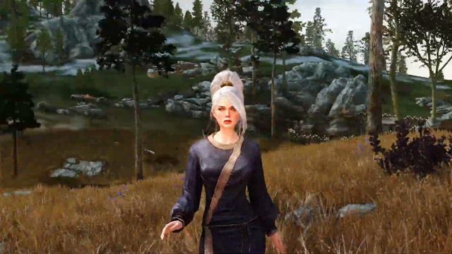 BDOR Hair 0.17 for Skyrim SE\AE (female only) смотреть онлайн