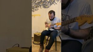 Peavey Classic 30 / Fernandes FST-50 with Alexander Pribora 1967 pickups