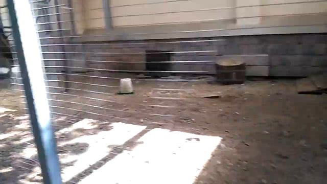 Dasko Garden. Уфа. Июль 2018. смотреть онлайн