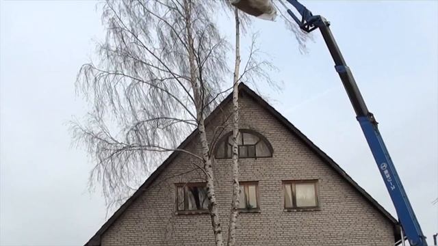 Бизнес Идеи | Удаление Деревьев с Участка. Едем на Первый Заказ | #03