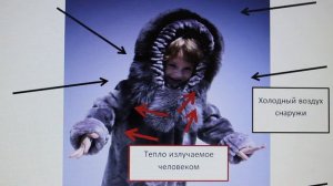 Физика 8 кл(2019г)Пер §4 Упр 3 № 4 . Почему выражение __шуба греет _ неверно_
