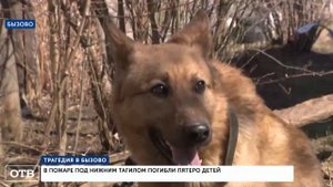 Медицина катастроф. Пожар в Бызово