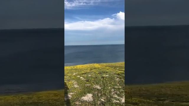 Scarborough Beach view shorts #scarborough #canada